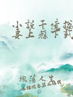 小说千亿总裁宠妻上瘾下载