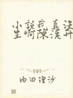 小说我真没想重生啊陈汉升全文阅读