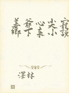 姜爷心尖宠她从乡下来小说在线收听