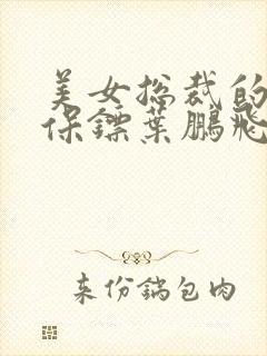 美女总裁的贴身保镖叶鹏飞免费阅读