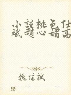 小说桃色仕途陈斌赵心媚高婉君