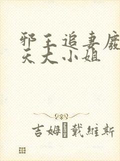 邪王追妻废材逆天大小姐
