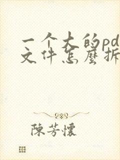 一个大的pdf文件怎么拆分开成几个文件