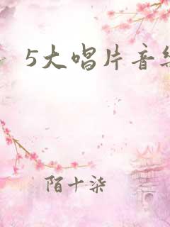 5大唱片音乐网