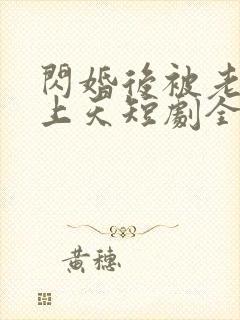 闪婚后被老公宠上天短剧全集