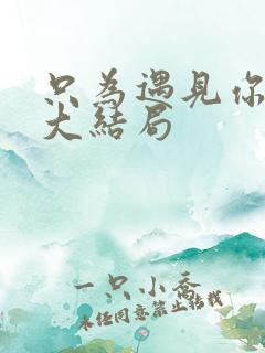 只为遇见你短剧大结局