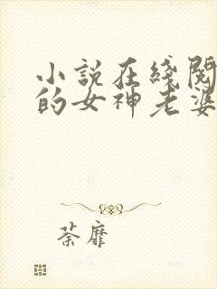小说在线阅读我的女神老婆