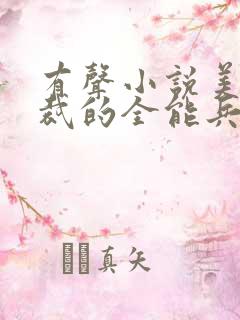 有声小说美女总裁的全能兵王