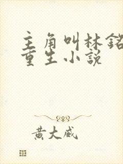 主角叫林铭陈佳重生小说