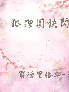 狐狸圈快闪网