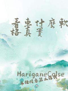 看车什么软件价格真实
