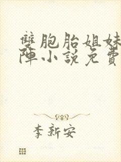 双胞胎姐妹齐上阵小说免费阅读