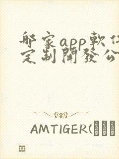 哪家app软件定制开发公司好