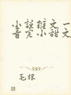 小说推文一口气看完小甜文