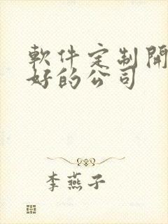 软件定制开发的好的公司