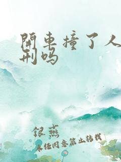 开车撞了人会判刑吗