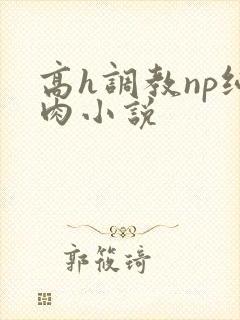 高h调教np纯肉小说