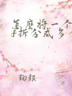 怎么将一个pdf拆分成多个