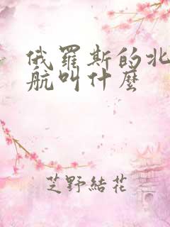 俄罗斯的北斗导航叫什么