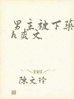 男主被下药后高h爽文