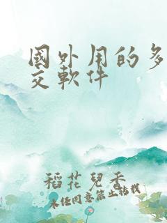 国外用的多的社交软件
