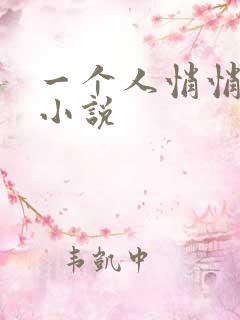 一个人悄悄看的小说