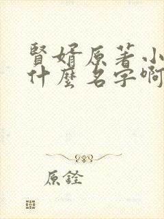 贤婿原著小说叫什么名字啊