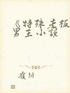 《特殊老板》双男主小说