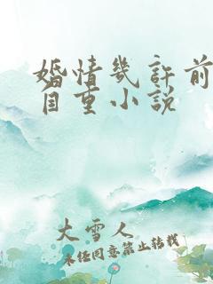 婚情几许前夫请自重小说