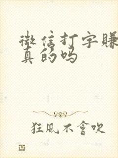 微信打字赚钱是真的吗