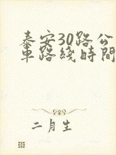 泰安30路公交车路线时间表