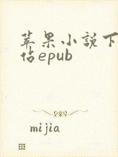 苹果小说下载网站epub