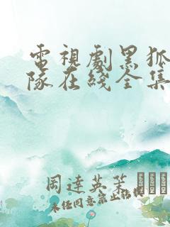 电视剧黑狐突击队在线全集播放