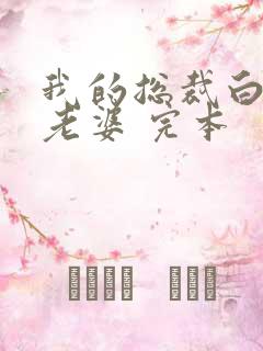 我的总裁白富美老婆 完本