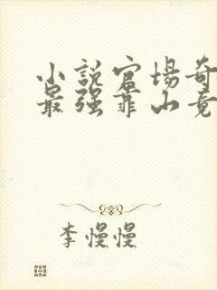 小说官场奇才:最强靠山竟是我自己李霖在