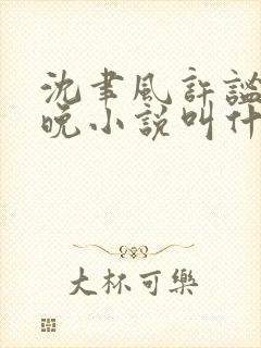沈聿风许谧宋星晚小说叫什