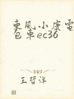 东风小康电动面包车ec36