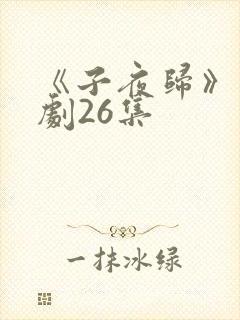 《子夜归》电视剧26集