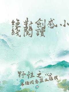 绝对剑感小说在线阅读