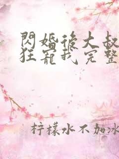 闪婚后大叔每天狂宠我完整版