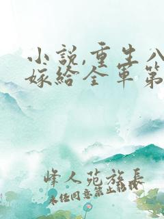 小说,重生八零嫁给全军第一硬汉