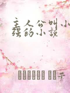 主人公叫小可志强的小说