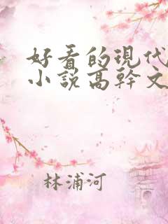 好看的现代言情小说高干文
