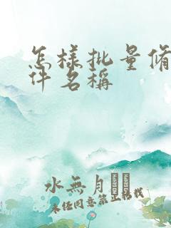 怎样批量修改文件名称
