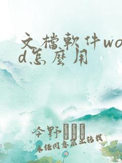 文档软件word怎么用