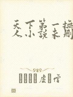 天下第一抚琴的人小说未删版全文