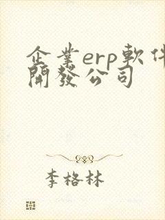 企业erp软件开发公司