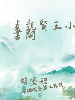 贞观贤王小说读书阁