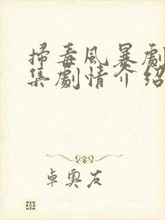 扫毒风暴剧情分集剧情介绍电视猫