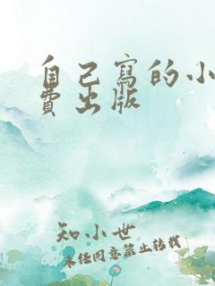 自己写的小说自费出版